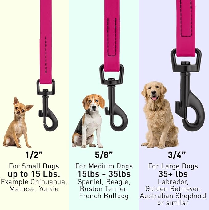 Dogline Biothane Waterproof Dog Leash Strong Coated Nylon Webbing with Black Hardware Odor-Proof Easy to Clean High Performance for Small or Large Dogs Made in USA 4 or 6 ft Lead, Magenta Pink