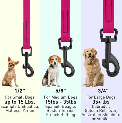 Dogline Biothane Waterproof Dog Leash Strong Coated Nylon Webbing with Black Hardware Odor-Proof Easy to Clean High Performance for Small or Large Dogs Made in USA 4 or 6 ft Lead, Magenta Pink