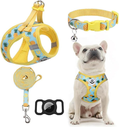 EXPAWLORER Small Dog Harness and Leash Set - Cute Puppy Harness Leash Dog Collar with AirTag Holder Silicone Case, Soft Padded Step in Pet Vest Reflective for Outdoor Walking, Pineapple XXS