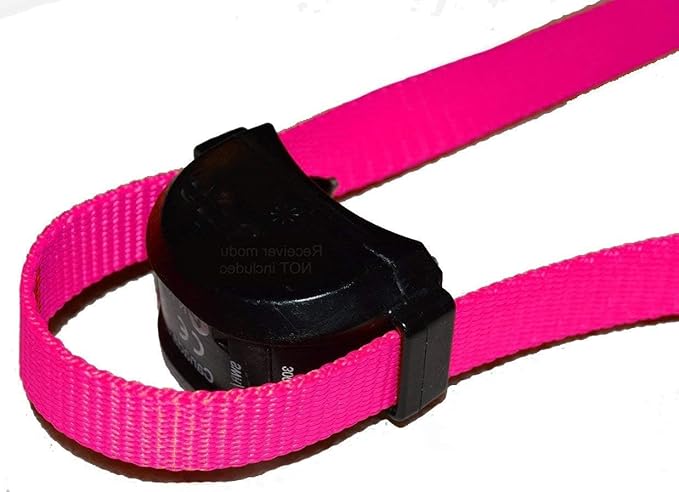 Sparky Pet Co - ECollar Replacement Strap - Easy Release Double Buckle Dog Collar - Rugged Nylon - Adjustable - D Ring - Quick Release Metal Clasp - for Invisible Fence Systems - 1" x 28" - Raspberry