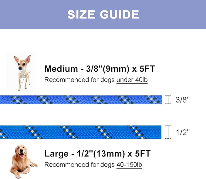 5 FT Slip Lead Dog Leash, Heavy Duty Rope Leash for Small Medium Large Dogs, No Pull Training Lead with Reflective Thread, Strong Comfortable Loop Leash (Blue Stripe, Large(1/2"))