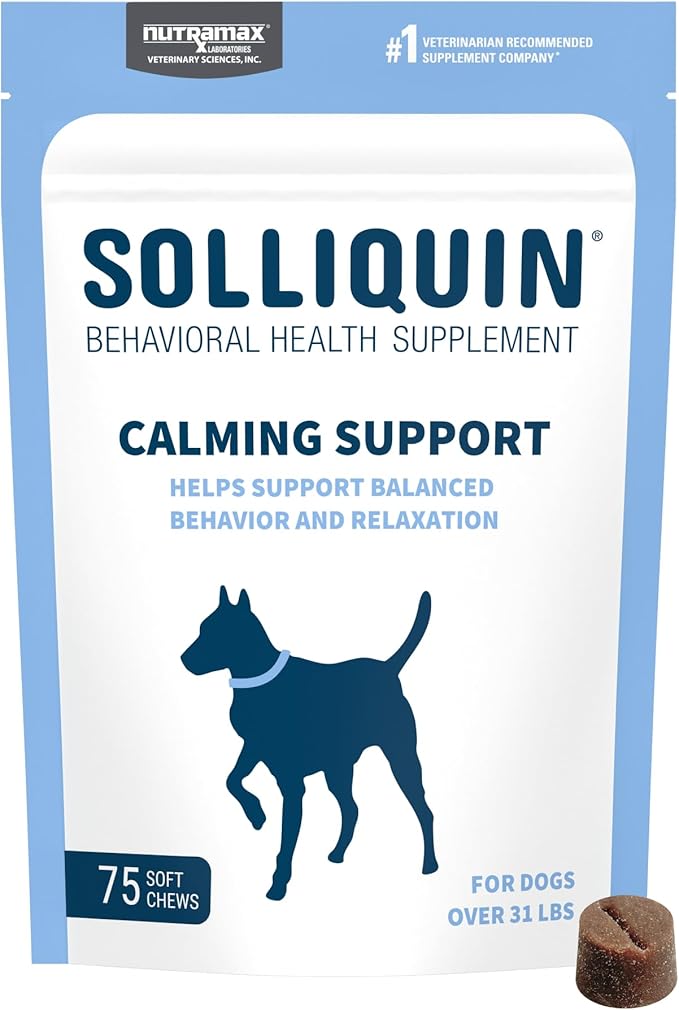 Nutramax Solliquin Calming Support for Dogs, Behavioral Health Supplement with L-Theanine, Magnolia/Phellodendron, and Whey Protein Concentrate, Soft Chews, 75 Count