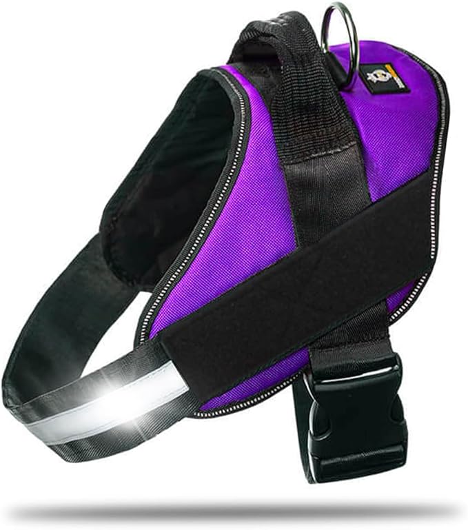DOGGYKINGDOM Non Pull Dog Harness with Patch Panels and Handle, Adjustable, Reflective, No Choke, Heavy Duty Easy On Service Dog Vest Harnesses for Medium Large Small Sized Dogs - Purple, S