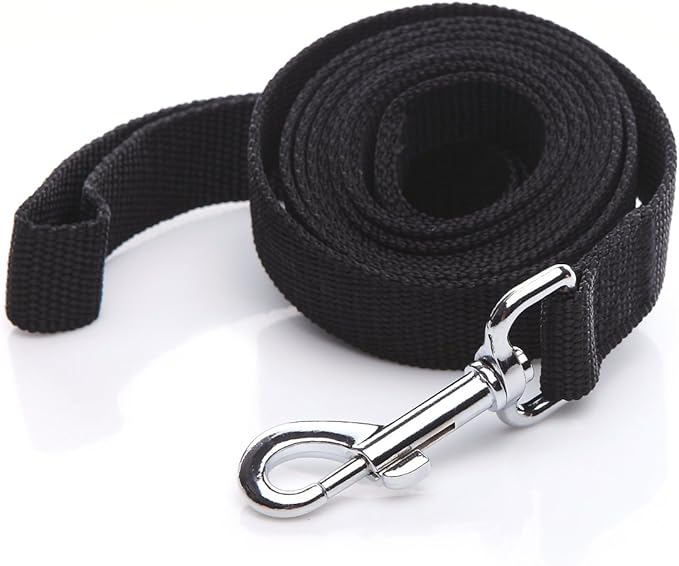 Nylon Dog Leash 12 Feet Long, Walking Training Dog Leashes for Medium Large Dogs(1" X 12 ft, Black)