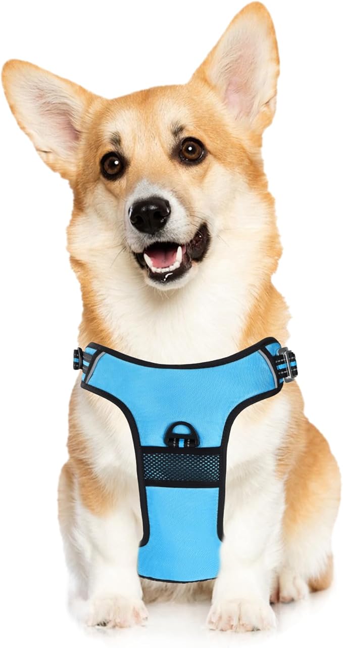 No Pull Dog Harness with 3 Snap Buckles,No Choke Front Lead pet Harness Reflective and Adjustable Soft Padded Vest for Small Medium Large Dog (Blue, Medium)