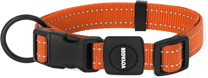 Best Pet Supplies Voyager Reflective Dog Leash or Collar with Neoprene Handle, for Small, Medium, and Large Breed Puppies, Cute and Heavy Duty for Walking, Running and Training - Orange, L