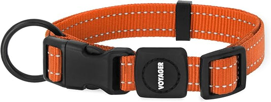 Best Pet Supplies Voyager Reflective Dog Leash or Collar with Neoprene Handle, for Small, Medium, and Large Breed Puppies, Cute and Heavy Duty for Walking, Running and Training - Orange, L