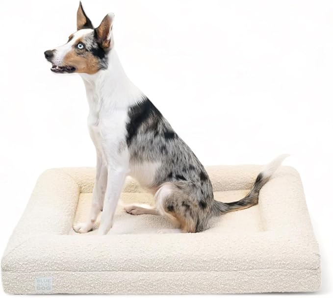 Bluewater Dog Luxury Boucle Orthopedic Memory Foam Dog Bed with Waterproof Liner and Machine Washable Cover with YKK Zippers (Medium 37" L x 30" W x 6" Th, Cloud)