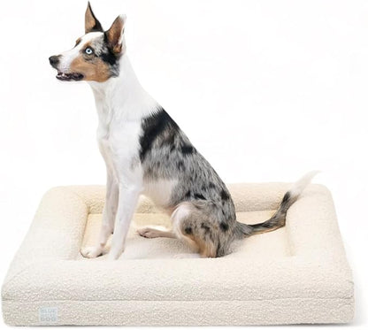 Bluewater Dog Luxury Boucle Orthopedic Memory Foam Dog Bed with Waterproof Liner and Machine Washable Cover with YKK Zippers (Medium 37" L x 30" W x 6" Th, Cloud)