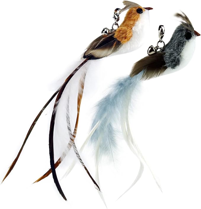TTcat Cat Wand Toy Feather Replacement Cat Toy Attachments Refills,10 Pcs Simulation Insects Bird Feathers.