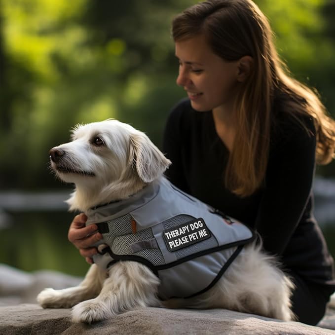 TACVEL 2 Pieces Therapy Dog Please Pet Me Dog Patches, Service Dog Patches with Hook Backing for Service Animal Vests, Harnesses