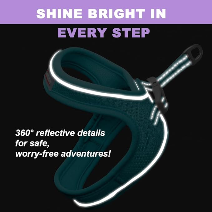 Cat Harness and Leash Set,Escape Proof Kitten Harness,Step in Adjustable Soft Lightweight,Easy Control,Reflective Strips Comfortable for Walking Travel(Ocean Blue,XXS)