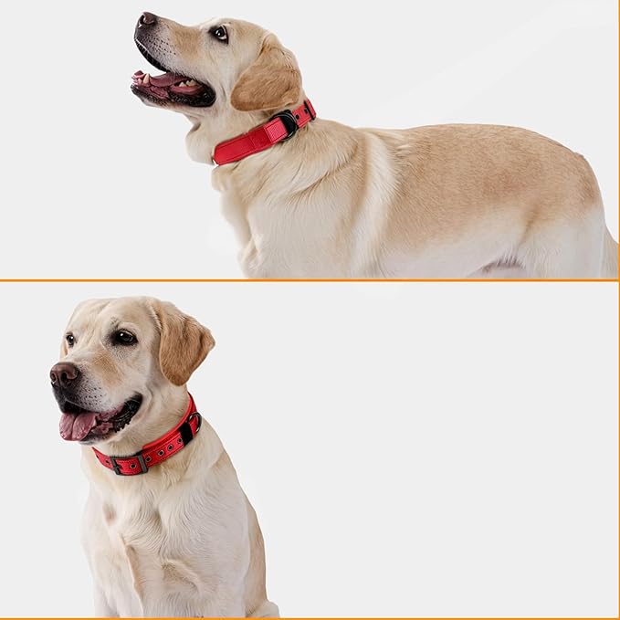 Annchwool Adjustable Dog Collar and 5 FT Leash Set with Heavy Duty Metal Buckle–Comfortable Lining Reflective Collar & Dual-Handles for Small Medium Large Dogs Walking,Running(Red Set,XL:22''-30'')