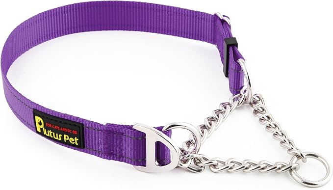 Plutus Pet Martingale Dog Collar with Stainless Steel Chain and Reflective Nylon, Adjustable No Pull Training Collar, for Small Medium, and Large Dogs, Purple, L