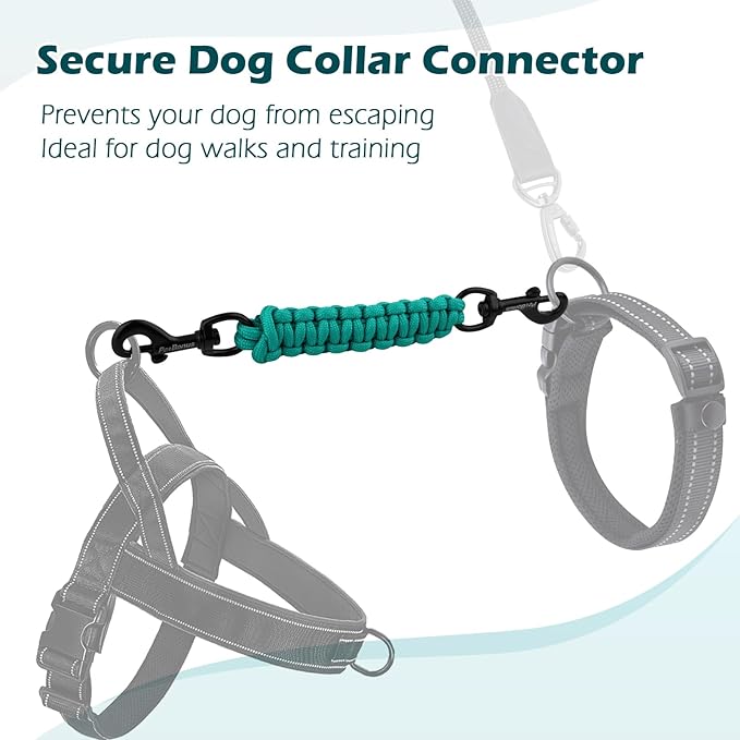 PetBonus Dog Collar Safety Clip, Handmade Backup Safety Strap for Dog Harness, Prong, Pinch Collar, Double Ended Clasp Leash Connector (Turquoise)