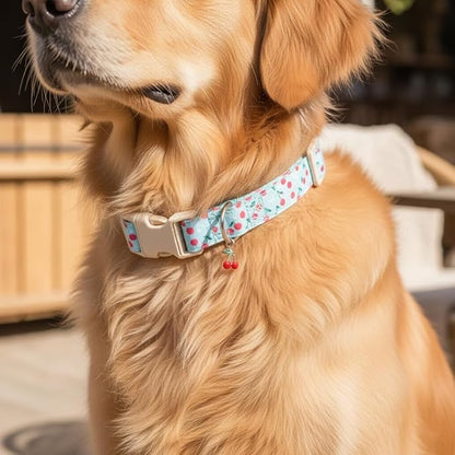 Dog Collar, Cherry Pattern Dog Collar for Spring Summer for Medium Large Dogs, M