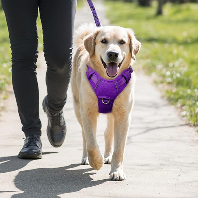 BARKBAY No Pull Dog Harness Large Reflective Dog Harness with Front Clip and Easy Control Handle for Walking Training Running with ID tag Pocket(Purple,M)
