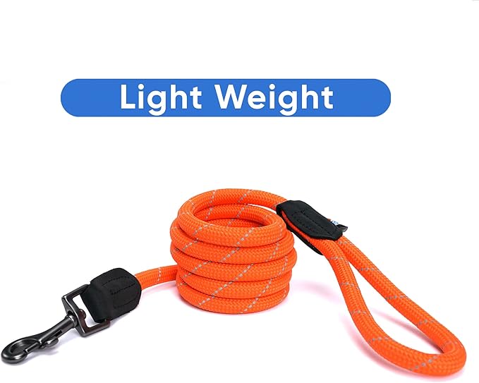 Pawtitas Orange Rope Dog Leash, X-Small/Small, 6 ft.