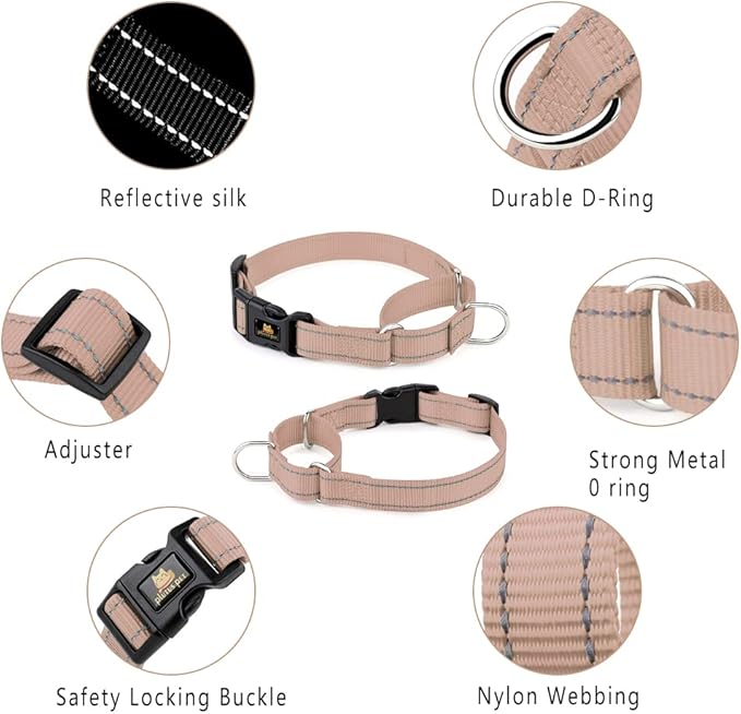 Plutus Pet Reflective Martingale Collar with Buckle - Durable and Adjustable Training Collar for No Pulling, Dog Choker Collar for Small Medium Large Dogs, Beige, M