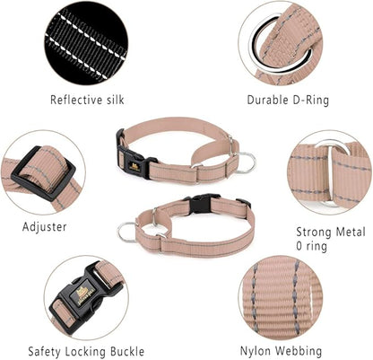 Plutus Pet Reflective Martingale Collar with Buckle - Durable and Adjustable Training Collar for No Pulling, Dog Choker Collar for Small Medium Large Dogs, Beige, M