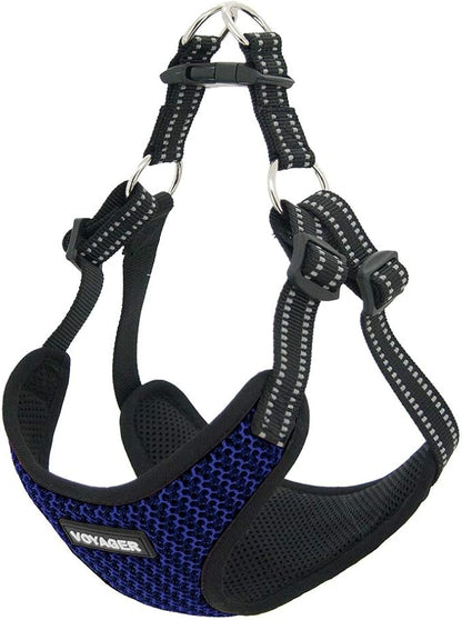 Best Pet Supplies Voyager Adjustable Step-In Flex Breathable Mesh Dog Harness for Small Medium Large Dogs (Baby Blue), XL