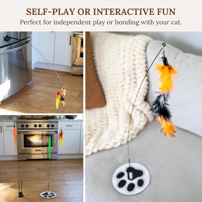 GADGETSOLOGY Cat Wand Toy Cat Fishing Pole Toy Cats Feather Toys Suction Cup for Indoor Cats Teaser Wand Feather Attachments Multisurface Base