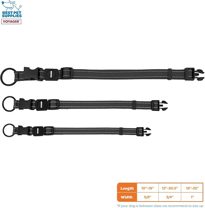 Best Pet Supplies Voyager Reflective Dog Leash or Collar with Neoprene Handle, for Small, Medium, and Large Breed Puppies, Cute and Heavy Duty for Walking, Running and Training - Black, L