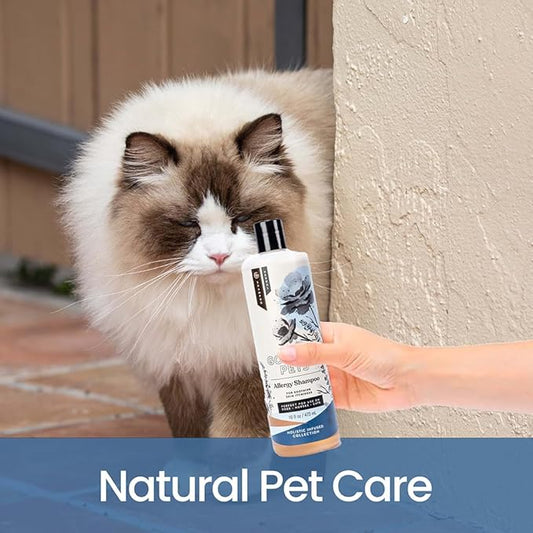 Gou Gou Pets Holistic Natural Derived Allergy Pet Shampoo: Veterinarian Recommended: Soothing Skin Allergies and Skin Issues for Dogs, Cats and Horses - Made in USA - 16 oz
