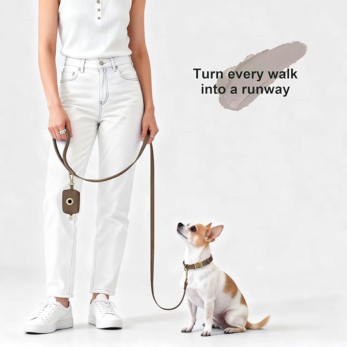Didog Stylish PU Leather Dog Leash for Small Dogs, Easy to Clean 5ft Small Dog Leash with Metal Tangle-Free Clip, Fashionable and Elegant for Walking, Running and Training,Brown, S