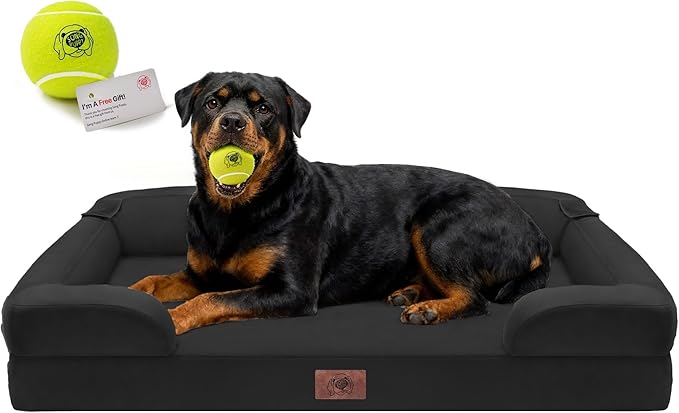 Orthopedic Dog Bed for Extra Large Dogs, XXL Waterproof Egg Crate Memory Foam Pet Bed Bolsters with Removable Washable Cover & Non-Slip Bottom, Tennis Ball Toy, 45x35