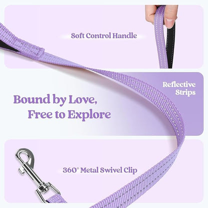 rabbitgoo Dog Harness Small Sized and Leash Set, Step in Soft Light Puppy Vest, Breathable Mesh Pet Harness, Reflective for Safe Easy Walking, Light Purple XXXS