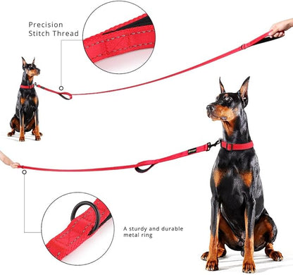 Plutus Pet Double Handle Dog Leash, 6ft, Padded, Heavy Duty, Reflective, Red, 2 Handle Leads