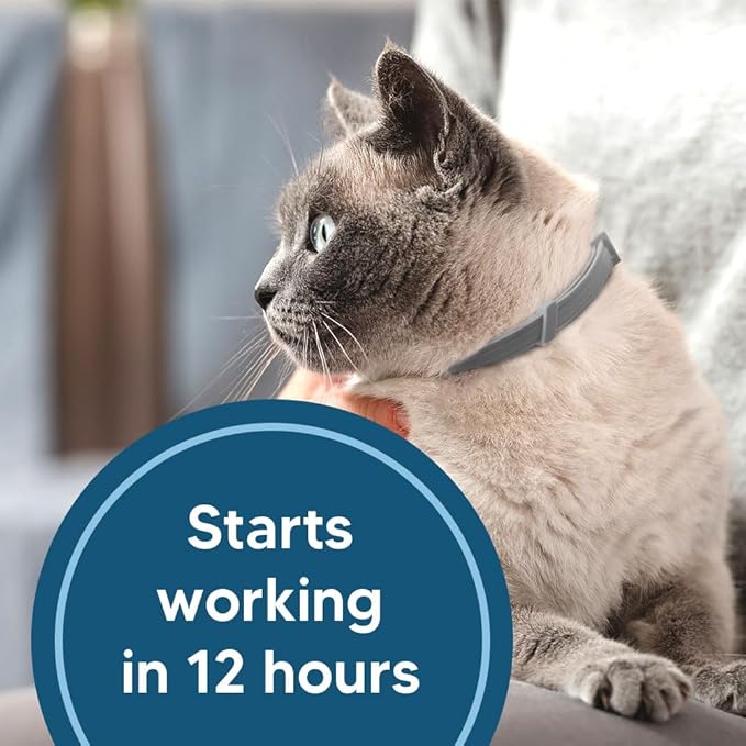 UDyoude Flea Collar for Cats, Cat Flea and Tick Collar, Cat Flea Collars, Kitten Tick Collars, Adjustable 8 Months Protection (Pack of 2)