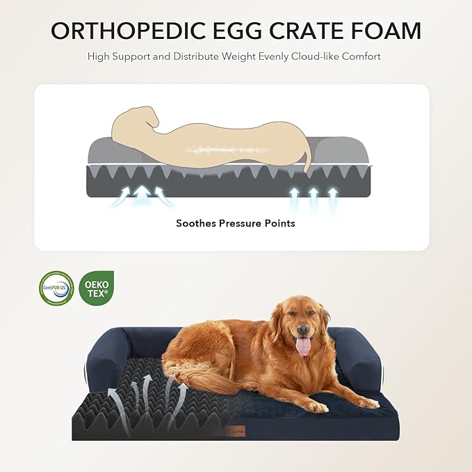 Casa Paw Orthopedic XXL Dog Beds, Waterproof Egg Crate Foam Big Pet Bed for All Breed Sized Dogs 53x42Inch, Washable Extra Large Dog Couch Bed with Removable Cover and Non-Slip Bottom, Navy Blue
