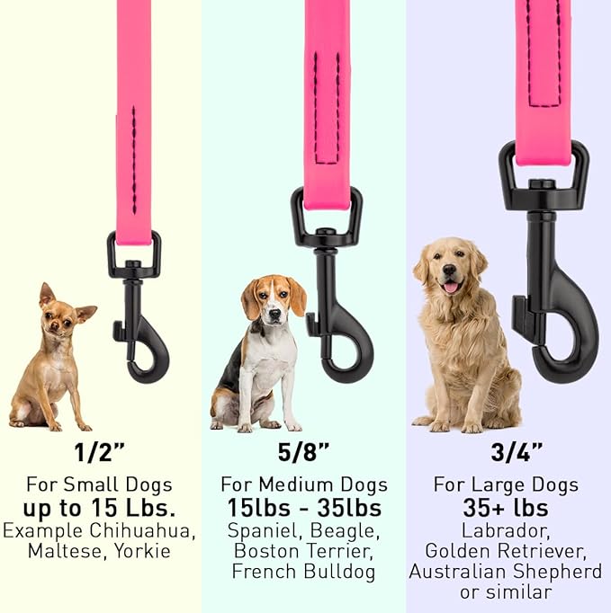 Dogline Biothane Waterproof Dog Leash Strong Coated Nylon Webbing with Black Hardware Odor-Proof Easy to Clean High Performance for Small or Large Dogs Made in USA 4 or 6 ft Lead, Passionfruit Pink
