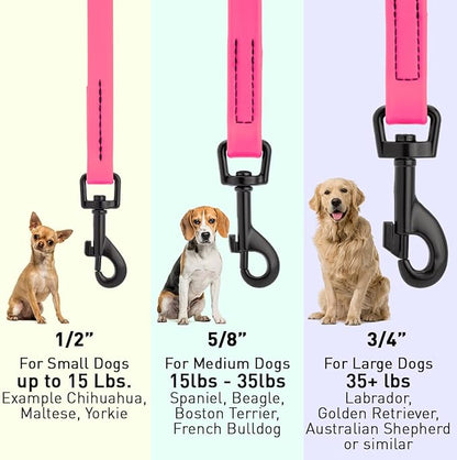 Dogline Biothane Waterproof Dog Leash Strong Coated Nylon Webbing with Black Hardware Odor-Proof Easy to Clean High Performance for Small or Large Dogs Made in USA 4 or 6 ft Lead, Passionfruit Pink