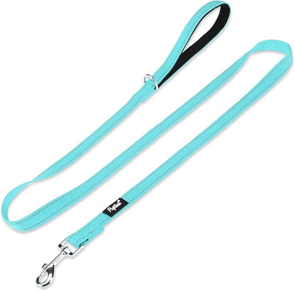 PUPTECK Reflective Dog Leash with Comfortable Padded Handle Durable Nylon Dog Lead for Small Medium and Large Dogs Cats Walking Running Training Outside, Light Blue