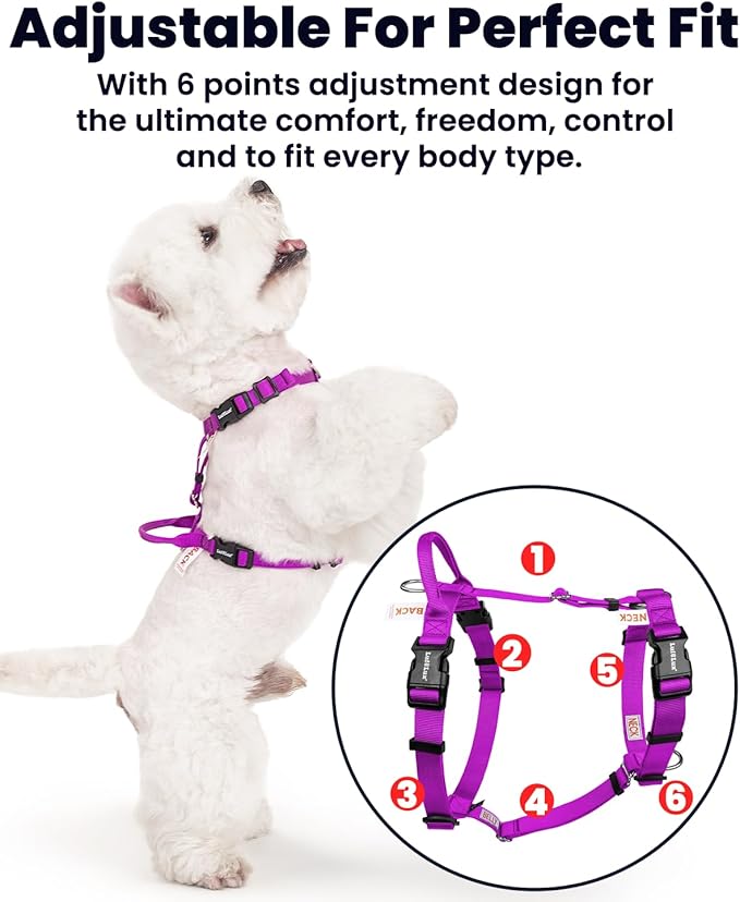 Non Restrictive No Pull Dog Harness, Neck Buckle Desgin, Lightweight Easy Walk Freedom Harness, Keep Balance, Sewn-in Instructions Labels for Easy Use, Small Dogs Chest(17-23inches) Purple