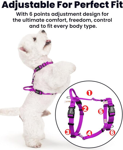 Non Restrictive No Pull Dog Harness, Neck Buckle Desgin, Lightweight Easy Walk Freedom Harness, Keep Balance, Sewn-in Instructions Labels for Easy Use, Small Dogs Chest(17-23inches) Purple
