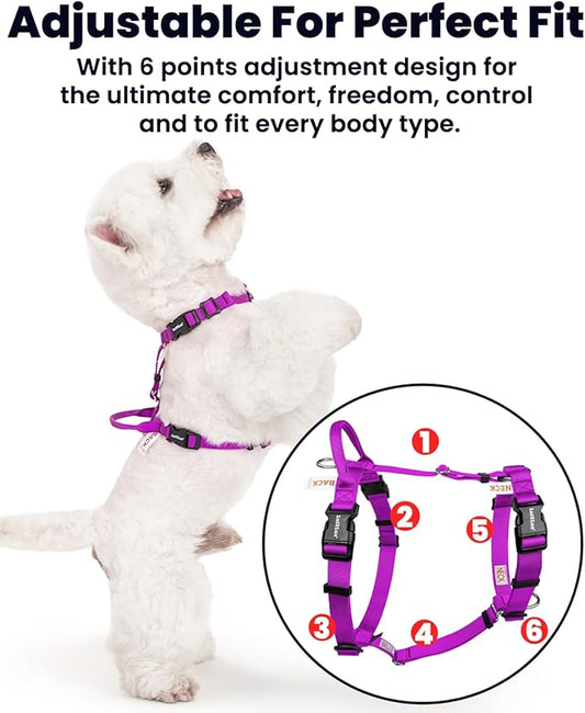 Non Restrictive Dog Harness, Easy Walk, Freedom No Pull Harness, Keep Balance, Lightweight, Neck Buckle, 2 Clips for Back/Front Clip, Sewn-in Instructions Labels for Easy Use (Purple, X-Small)