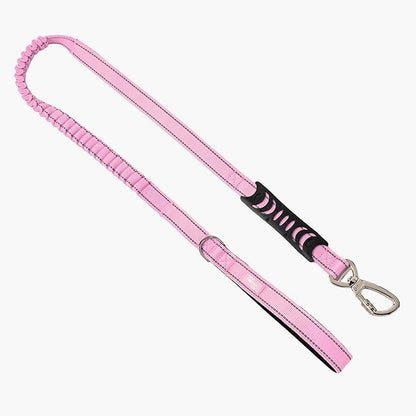 DF Co. Bungee Dog Leash | Strain Free & Shock Resistant for Control | Neoprene Padded Handle, Heavy-Duty Carabiner Clip, and D-Ring | Pink, Size Regular