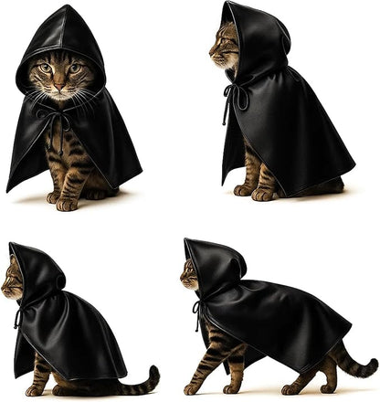 CRYO BOX Black Bat Cat Cloak and Costume, Funny Bat Mask Cloak, Halloween, Clothes and Accessories for Cats
