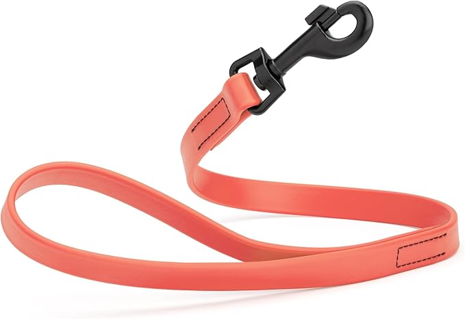 Dogline Biothane Waterproof Dog Leash Strong Coated Nylon Webbing with Black Hardware Odor-Proof Easy to Clean High Performance for Small or Large Dogs Made in USA 2 ft Lead, Coral
