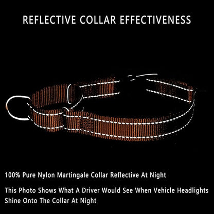 PLUTUS PET Reflective Martingale Collar with Quick Snap Buckle,No Pull Dog Choker Collar for Small Medium Large Dogs,S,Orange