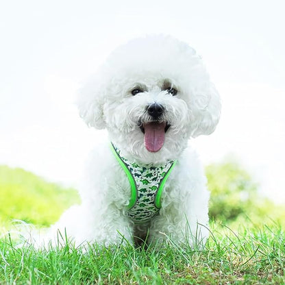 Step in Dog Harness and Leash Set, Flower Adjustable Easy Walk Puppy Harnesses, Soft Mesh Pet Vest Harness Small Size Dog Adjustable No Pull Dog Harness for Small Medium Dogs(Dinosaur1, S)