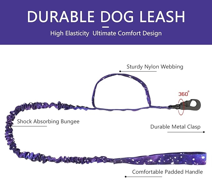 DAGANXI Tactical Dog Collar, Adjustable Military Training Nylon Dog Collar with Control Handle and Heavy Metal Buckle for Medium and Large Dogs, with Patches and Airtags Case (L, Purple Sky-Set)