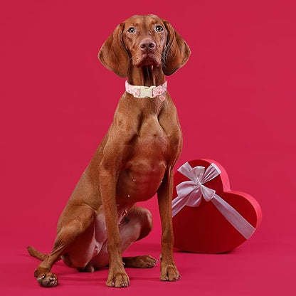 DOGWONG Pink Heart Dog Collar, Small, Valentine's Day Special, Fabric, Soft & Comfortable, Adjustable (4" W x 10" L), Perfect for Small Dogs