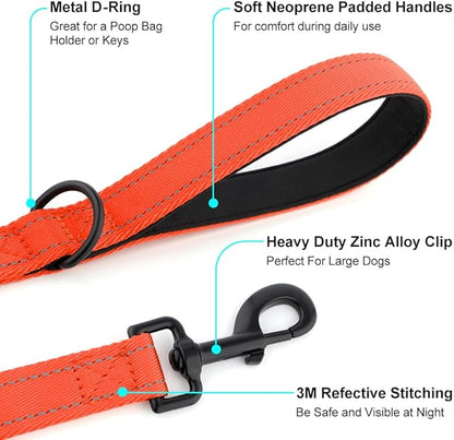 Heavy Duty Double Handle Dog Leash 6 ft Long for Total Control, Padded 2 Handle, Reflective Training Lead for Medium Large Dogs (Orange, 6 FT)