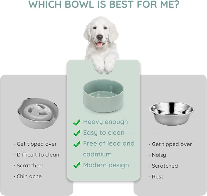 SPUNKYJUNKY 42OZ Ceramic Dog and Cat Bowl, Modern Cute Weighted Food Water Bowl for Replacement Morandi Green (1 Pack)