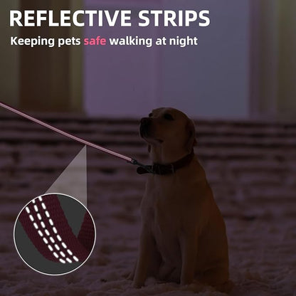 PUPTECK Reflective Dog Leash with Comfortable Padded Handle Durable Nylon Dog Lead for Small Medium and Large Dogs Cats Walking Running Training Outside, Hot Pink, M
